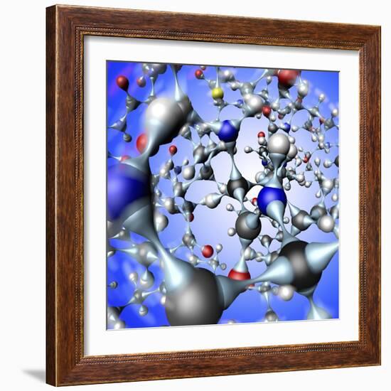 Insulin Molecule, Close-up View-PASIEKA-Framed Premium Photographic Print