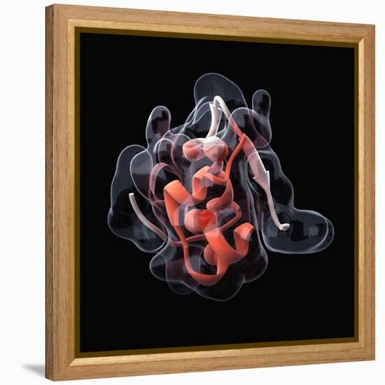 Insulin Molecule-Visual Science-Framed Premier Image Canvas