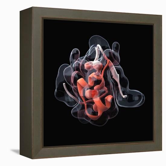 Insulin Molecule-Visual Science-Framed Premier Image Canvas