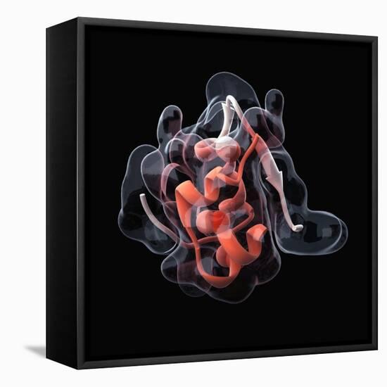 Insulin Molecule-Visual Science-Framed Premier Image Canvas