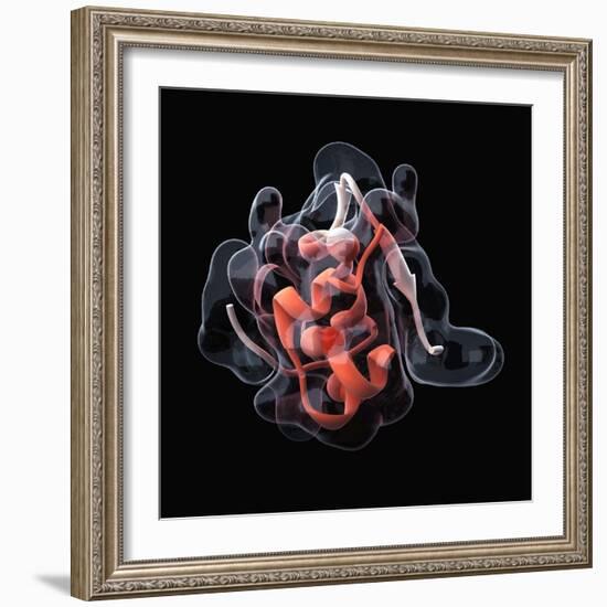 Insulin Molecule-Visual Science-Framed Premium Photographic Print