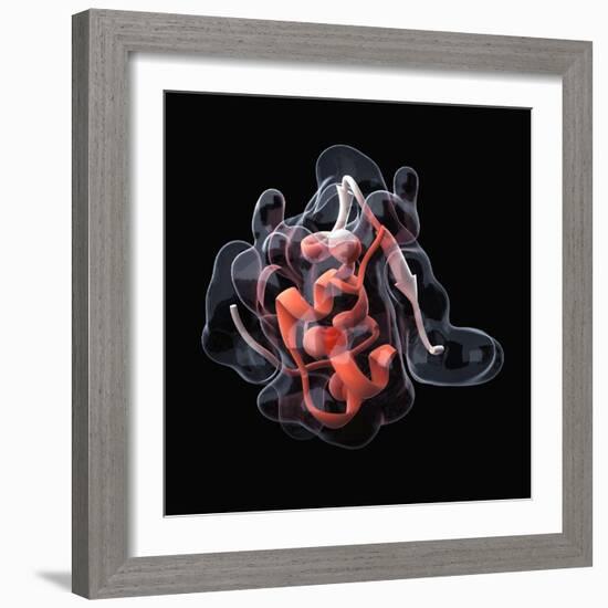 Insulin Molecule-Visual Science-Framed Premium Photographic Print