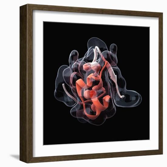 Insulin Molecule-Visual Science-Framed Premium Photographic Print