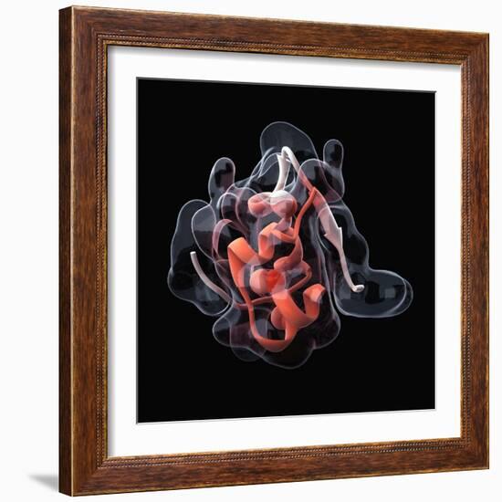 Insulin Molecule-Visual Science-Framed Premium Photographic Print