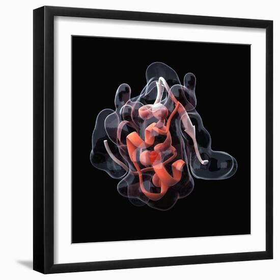 Insulin Molecule-Visual Science-Framed Premium Photographic Print