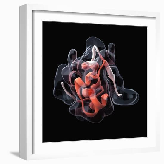 Insulin Molecule-Visual Science-Framed Premium Photographic Print