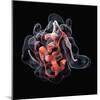 Insulin Molecule-Visual Science-Mounted Premium Photographic Print