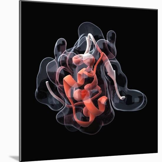 Insulin Molecule-Visual Science-Mounted Premium Photographic Print