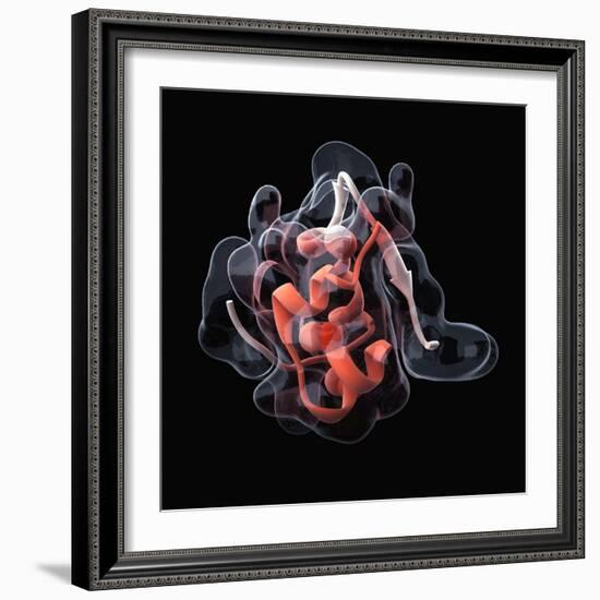 Insulin Molecule-Visual Science-Framed Premium Photographic Print