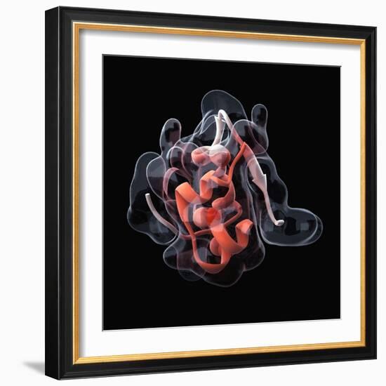 Insulin Molecule-Visual Science-Framed Premium Photographic Print