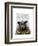 Intelligent Sheep-Fab Funky-Framed Art Print