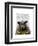 Intelligent Sheep-Fab Funky-Framed Art Print
