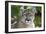 Intense Direct Eye Contact Portrait Of A Mountain Lion Looking At The Camera-Karine Aigner-Framed Photographic Print