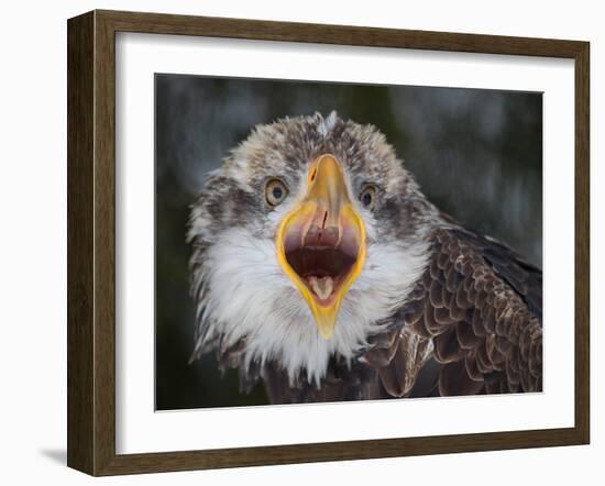 Intensity !!!-Alfred Forns-Framed Photographic Print