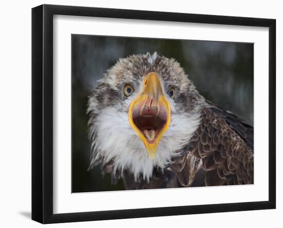 Intensity !!!-Alfred Forns-Framed Photographic Print