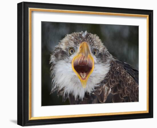 Intensity !!!-Alfred Forns-Framed Photographic Print