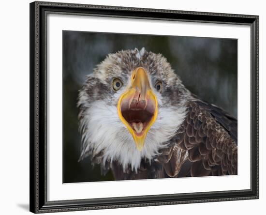 Intensity !!!-Alfred Forns-Framed Photographic Print