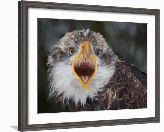 Intensity !!!-Alfred Forns-Framed Photographic Print