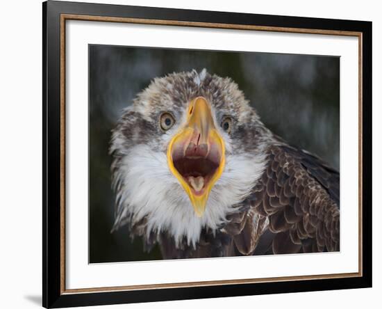 Intensity !!!-Alfred Forns-Framed Photographic Print