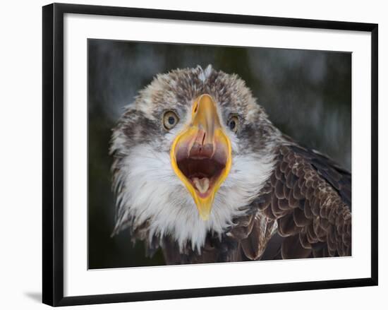 Intensity !!!-Alfred Forns-Framed Photographic Print