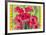 Intensiv Mohn-I^ Matthaus-Framed Art Print