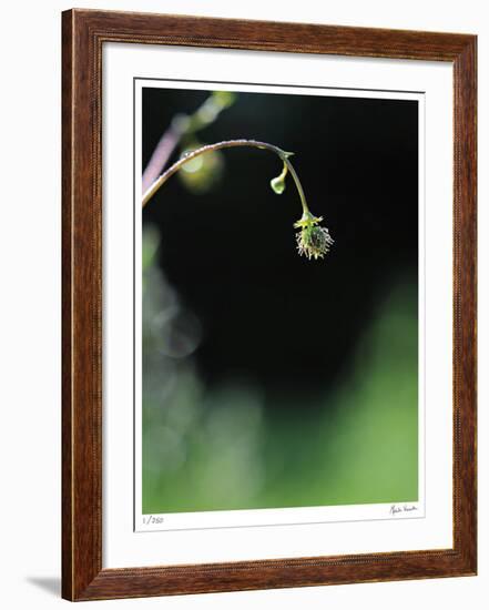 Intentional-Michelle Wermuth-Framed Giclee Print