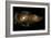 Interacting Galaxies-null-Framed Photographic Print