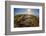 Interesting Tide Pools in La Jolla, Ca-Andrew Shoemaker-Framed Photographic Print