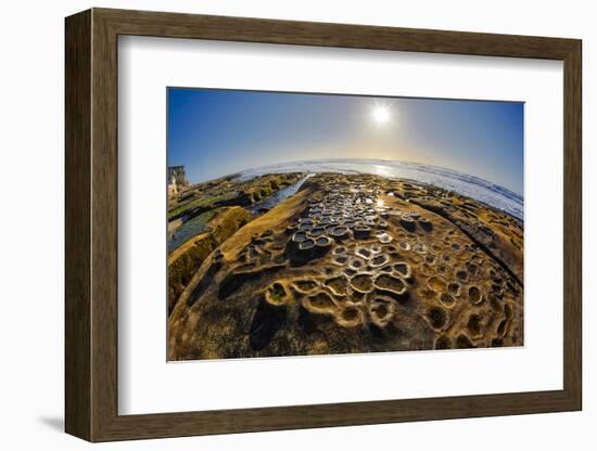 Interesting Tide Pools in La Jolla, Ca-Andrew Shoemaker-Framed Photographic Print