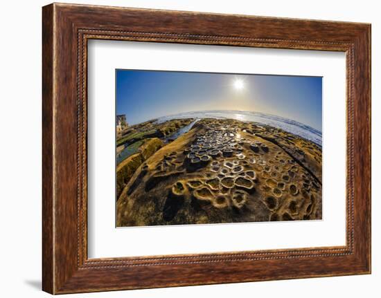 Interesting Tide Pools in La Jolla, Ca-Andrew Shoemaker-Framed Photographic Print