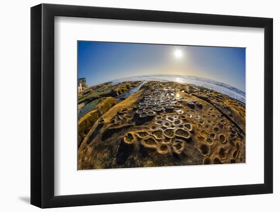 Interesting Tide Pools in La Jolla, Ca-Andrew Shoemaker-Framed Photographic Print
