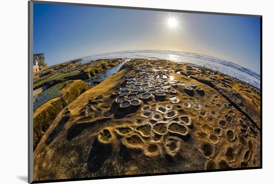 Interesting Tide Pools in La Jolla, Ca-Andrew Shoemaker-Mounted Photographic Print