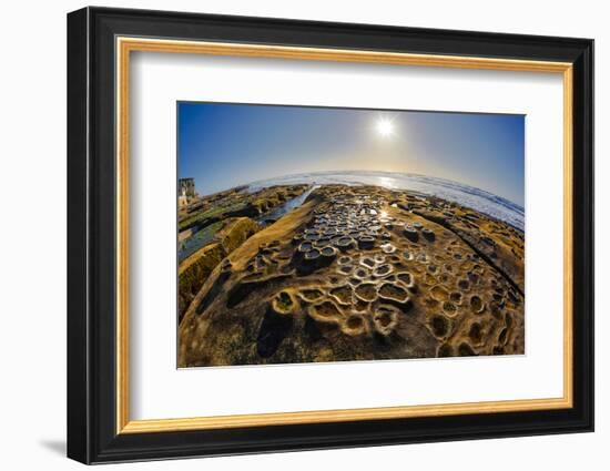 Interesting Tide Pools in La Jolla, Ca-Andrew Shoemaker-Framed Photographic Print