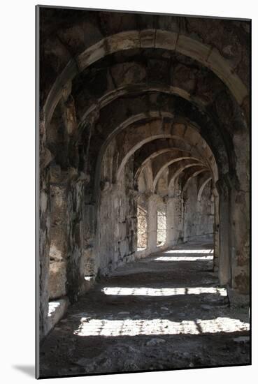 Interior Arches of Corridor at the Roman Amphitheatre, Aspendos, Turkey-Natalie Tepper-Mounted Photo