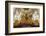 Interior, Ascension Cathedral (Zenkov Cathedral), Panfilov Park, Almaty, Kazakhstan, Central Asia,-G&M Therin-Weise-Framed Photographic Print