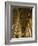 Interior, Canterbury Cathedral, Canterbury, Kent-Ethel Davies-Framed Photographic Print