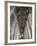 Interior, Canterbury Cathedral, Canterbury, Kent-Ethel Davies-Framed Photographic Print