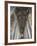 Interior, Canterbury Cathedral, Canterbury, Kent-Ethel Davies-Framed Photographic Print