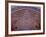 Interior Decorative Mosaic Tiling in the Chaharbach Mosque in Isfahan, Iran-null-Framed Photographic Print