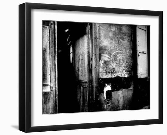 Interior Hallway and Graffiti: "Picasso Was Here," Bateau Lavoir, Montmartre-Gjon Mili-Framed Photographic Print