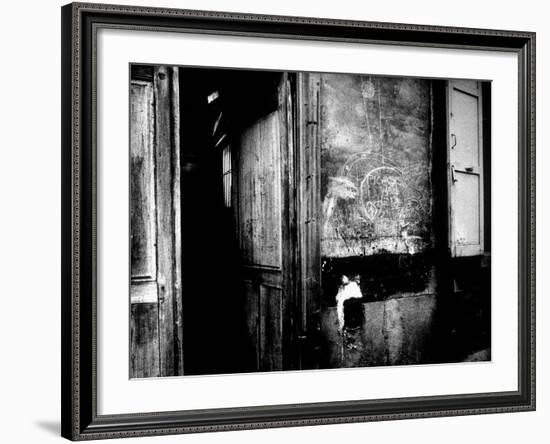 Interior Hallway and Graffiti: "Picasso Was Here," Bateau Lavoir, Montmartre-Gjon Mili-Framed Photographic Print