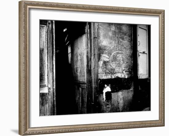 Interior Hallway and Graffiti: "Picasso Was Here," Bateau Lavoir, Montmartre-Gjon Mili-Framed Photographic Print