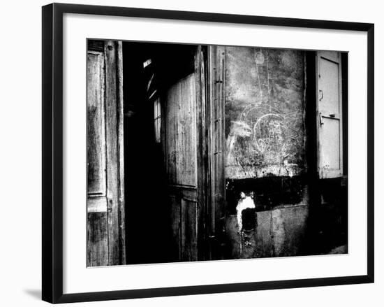Interior Hallway and Graffiti: "Picasso Was Here," Bateau Lavoir, Montmartre-Gjon Mili-Framed Photographic Print