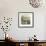 Interior, Horticultural Hall-null-Framed Giclee Print displayed on a wall