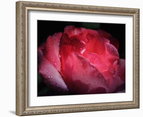 Interior Light-Philippe Sainte-Laudy-Framed Photographic Print