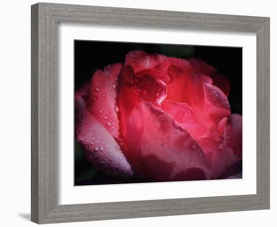 Interior Light-Philippe Sainte-Laudy-Framed Photographic Print