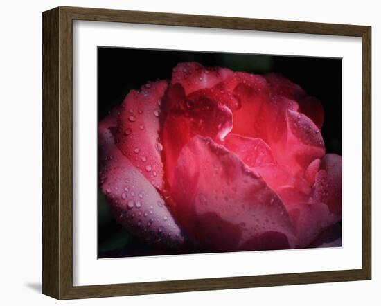 Interior Light-Philippe Sainte-Laudy-Framed Photographic Print