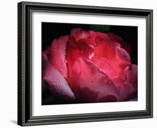 Interior Light-Philippe Sainte-Laudy-Framed Photographic Print