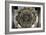 Interior Mihrab Dome at the Great Mosque, Cordoba, Spain, 11th C-null-Framed Premium Photographic Print