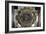 Interior Mihrab Dome at the Great Mosque, Cordoba, Spain, 11th C-null-Framed Premium Photographic Print